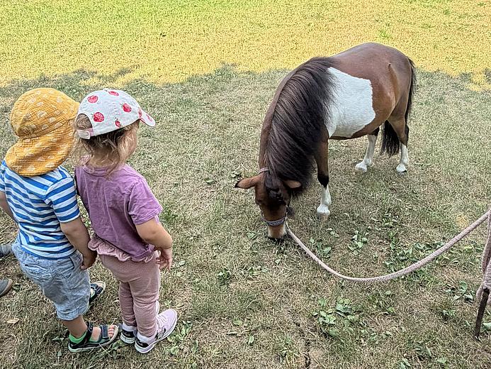 Das Bild zeigt eine Wiese, auf der ein braun-weißes Pony steht. Vor ihm zwei Kindergartenkinder in bunter Kleidung und Kopfbedeckung. Sie sind von hinten zu sehen. Im Hintergrund sieht man Hecken, Bäume und zwei Häuser.